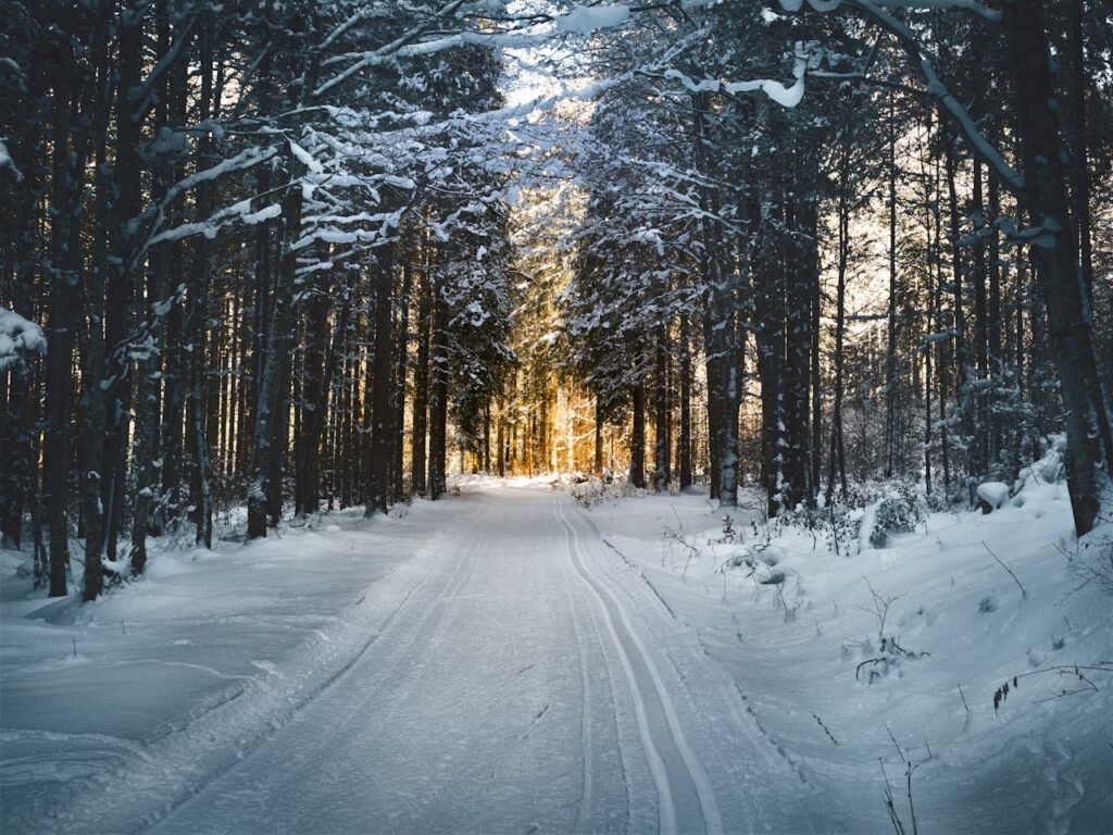 Tips voor strooien in de winter