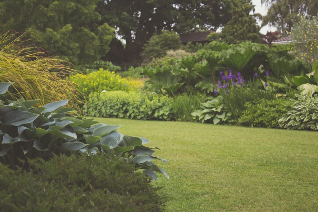 Omgaan met droogte in de tuin: 5 handige tips!