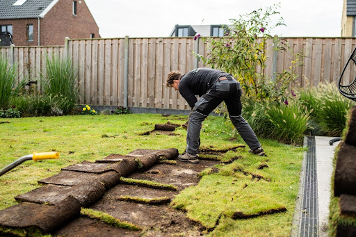 DIY: zelf graszoden leggen in 6 eenvoudige stappen