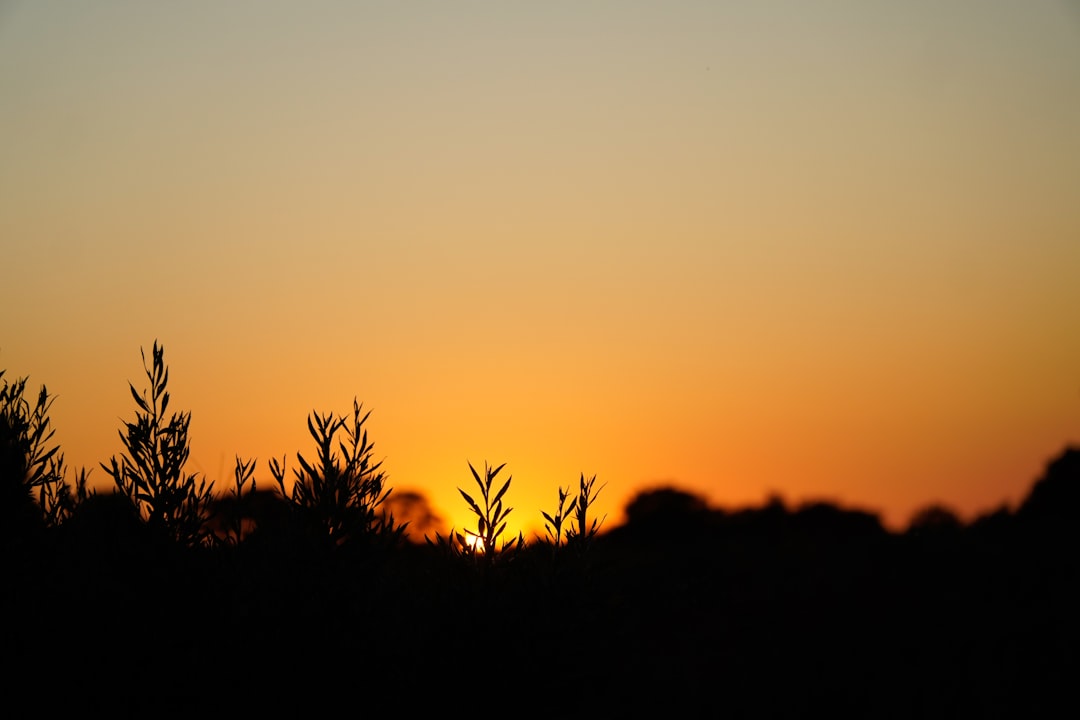 Wat zegt je metabolische leeftijd over je gezondheid?